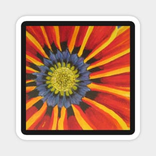 Gazania - Section of Painting Magnet