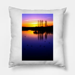 Abberton Twilight Pillow