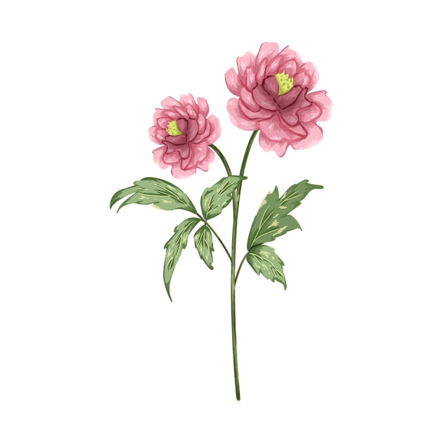 Pink Peony 1 Botanical by Salfiart