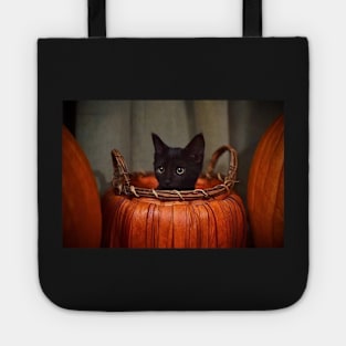 cat in pumpkin Tote