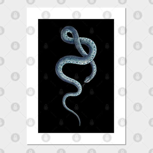 slag Ups kontroversiel Blue snake - Snake - Posters and Art Prints | TeePublic