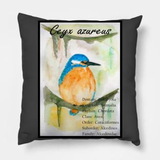 Kingfisher Pillow