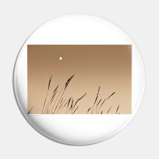 Moon on the Prairie Pin