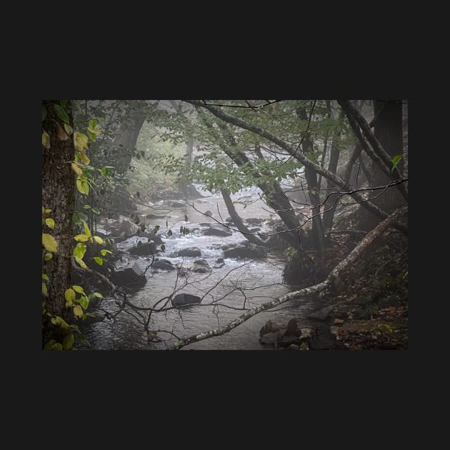 Foggy Creek by Ckauzmann