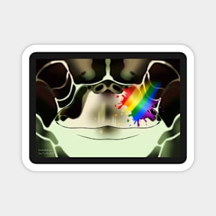 LGBT Pride Sea Turtle Face Magnet