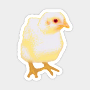 Cute Chicken Drawing Magnet