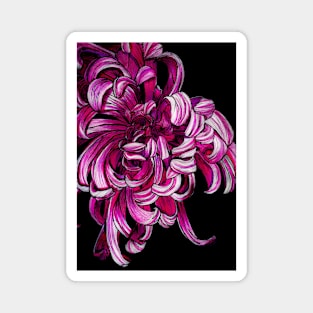 PEONY PINK Magnet