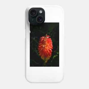 alb torch Phone Case