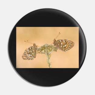 Two Dark Green Fritillaries on a Yarrow Plant Pin