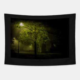 Midnight Suburban Mist Tapestry