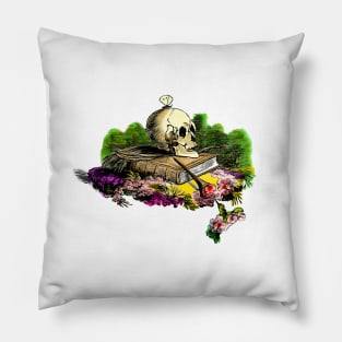 The Book of Life Pillow