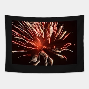 Fireworks Tapestry