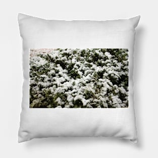 Snow Bush Pillow