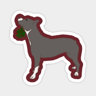 Pitbull with Mistletoe Magnet