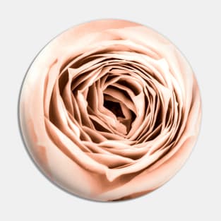 ROSE Pin