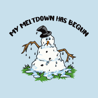 My Meltdown Has Begun T-Shirt