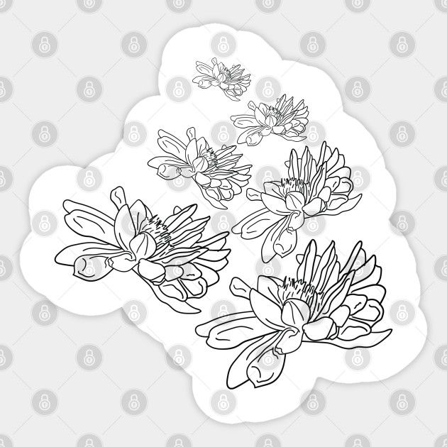 Single Line Artwork Flowers Botanical Design Single Line Artwork Botanical Sticker Teepublic