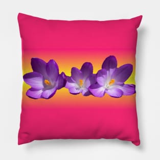 Tropical Sunset Pillow