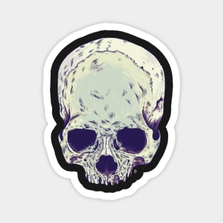 Skull Magnet