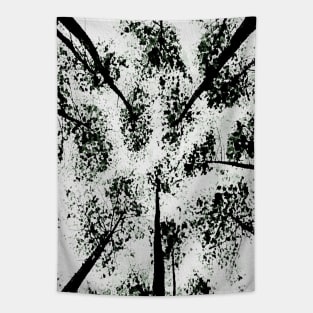 Upward view of trees Tapestry