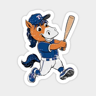 Texas Rangers Magnet