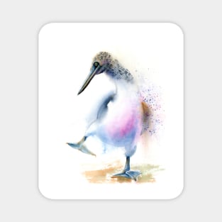 Blue footed booby Magnet