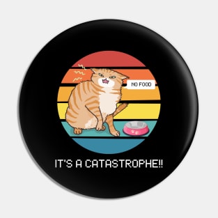 It's a catastrophe!! Pin