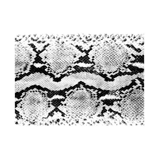 Snake Skin Pattern in Black and White by Sandra Keller