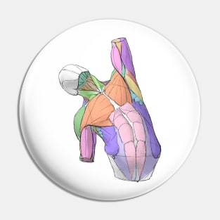 human body anatomy 6 Pin