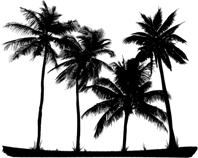 Palm Trees Silhouette Kids T-Shirt by Artist Rob Fuller