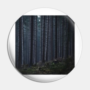 Moody Dark Forest in Misty Mountains of Czech Pin