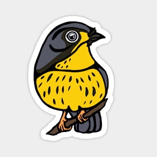 Canada Warbler Graphic Magnet