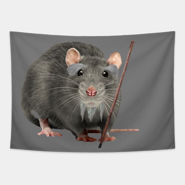 MASTER SPLINTER Tapestry by TSOL Games