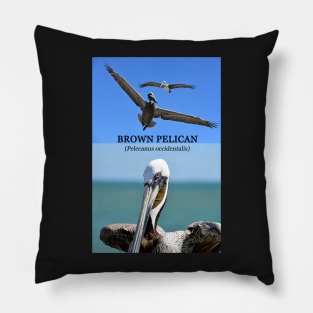 Brown Pelican educational Pillow