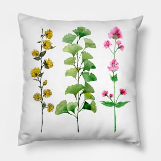 The Sign of Summer Pillow