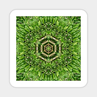 Plant kaleidoscope 1 Magnet