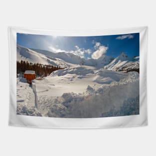 Canadian Rocky Mountains Icefields Parkway Canada Tapestry