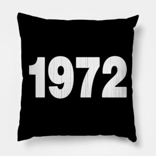 1972 Vintage Pillow