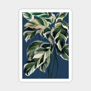 Modern Calathea Plant Magnet