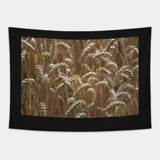 Wheat (landscape) Tapestry