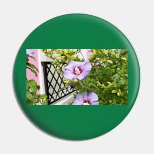 Paris Rue Cremieux Hibiscus Pin