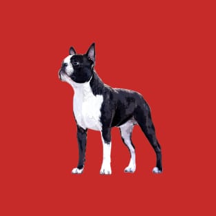 Boston Terrier Super Stylish Dog T-Shirt