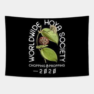 Worldwide Hoya Society - White Tapestry