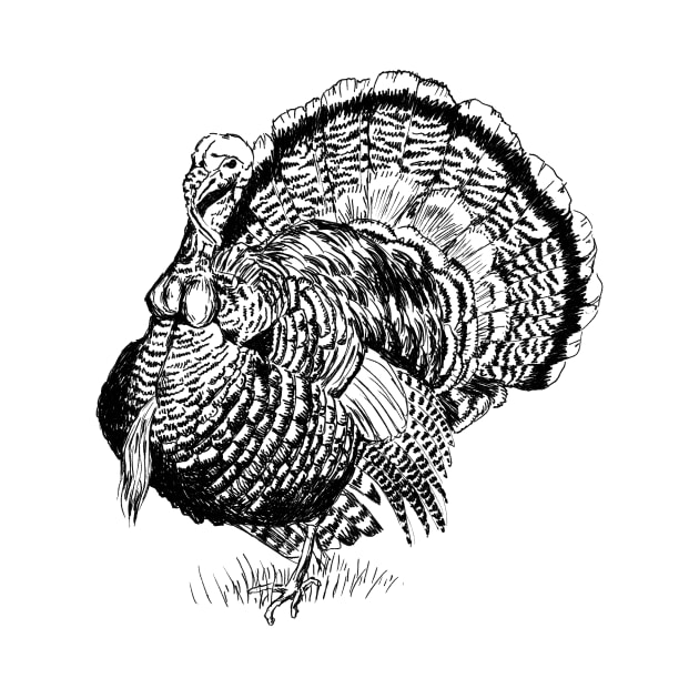 Wild Turkey Print by rachelsfinelines