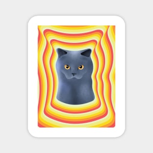 chartreux cat with firey background Magnet