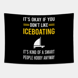 Smart People Hobby Iceboating Iceboater Iceboat Tapestry