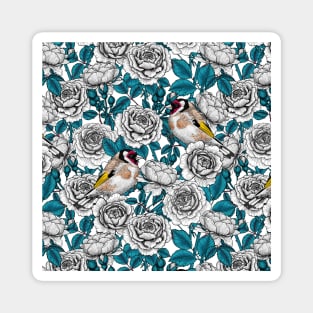 White rose flowers and goldfinch birds Magnet