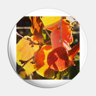 Autumn colour Pin