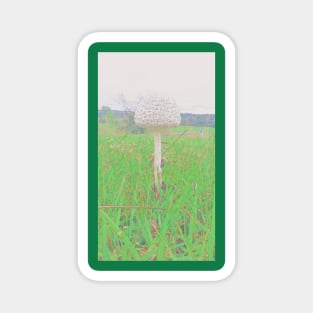 Mushroom Mushroom Magnet