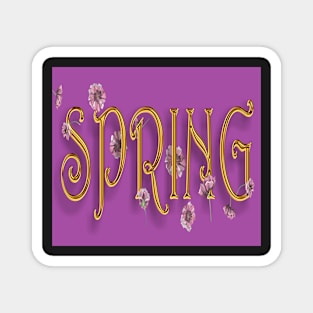 Spring Magnet